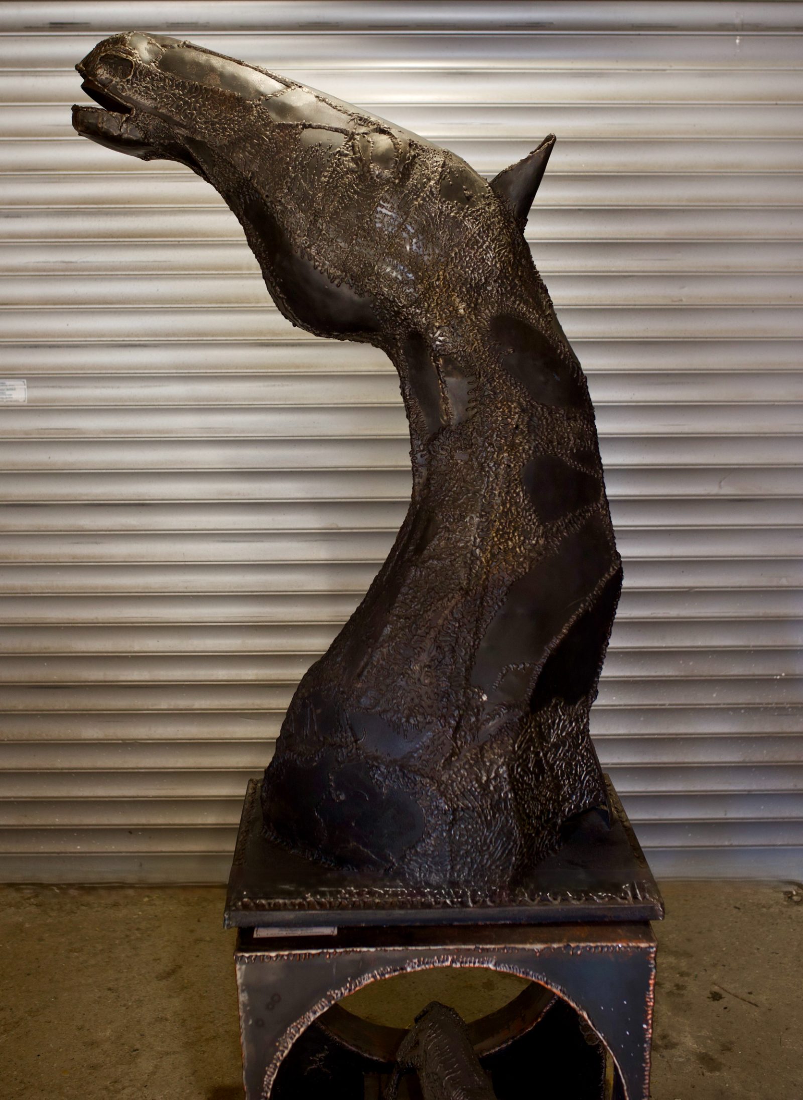 Nenad Stojanovski — horse head